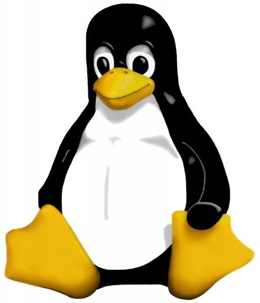 How Can Linux Benefit You?  A Look at the Advantages of Linux