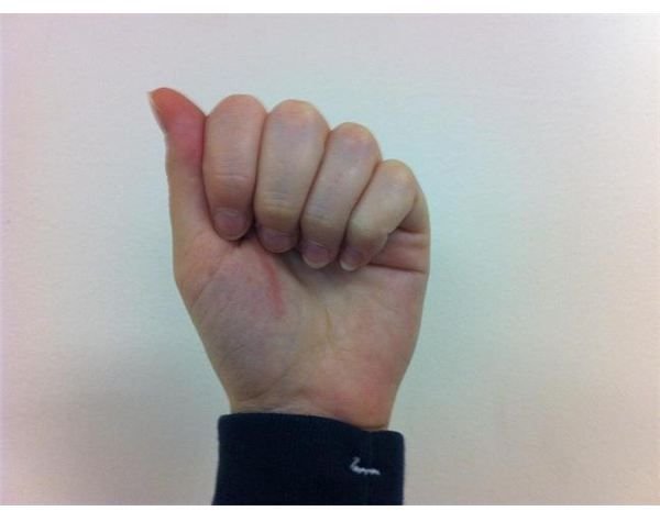 ASL Fingerspelling Alphabet and the Linguistics of Sign Language