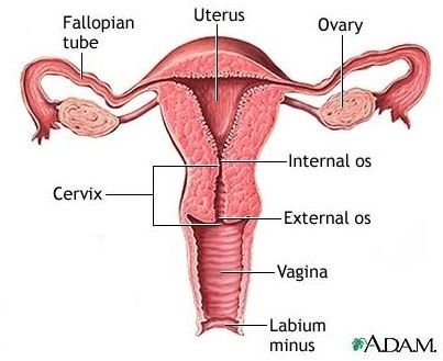 Treatment for PID (Pelvic Inflammatory Disease)