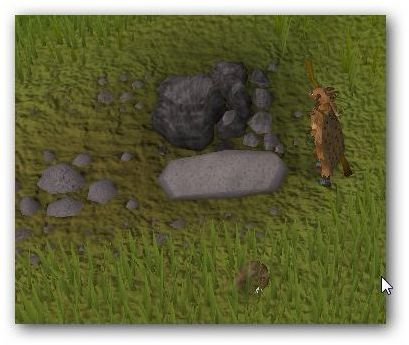Runescape Hunting Guide: Tips for Deadfall Trapping
