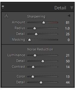 A Lightroom 3 Noise Reduction Tutorial: Fixing Noisy Images