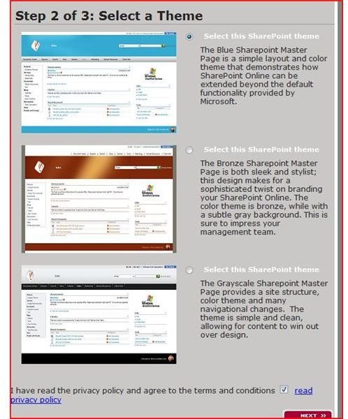 Expert SharePoint master themes