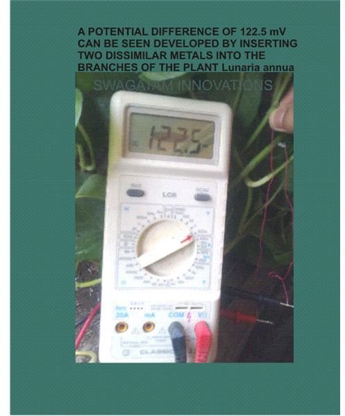 How to Make a Potato Battery: Experiment with Electricity