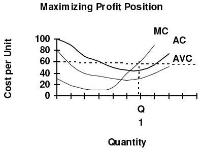 Profitmaximizing