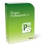 Project 2010 Professional