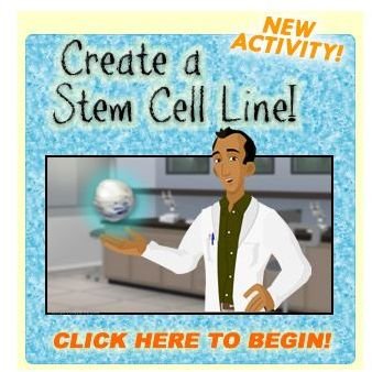 Free Online Science Games Kids Will Love: Educational Fun for Everyone