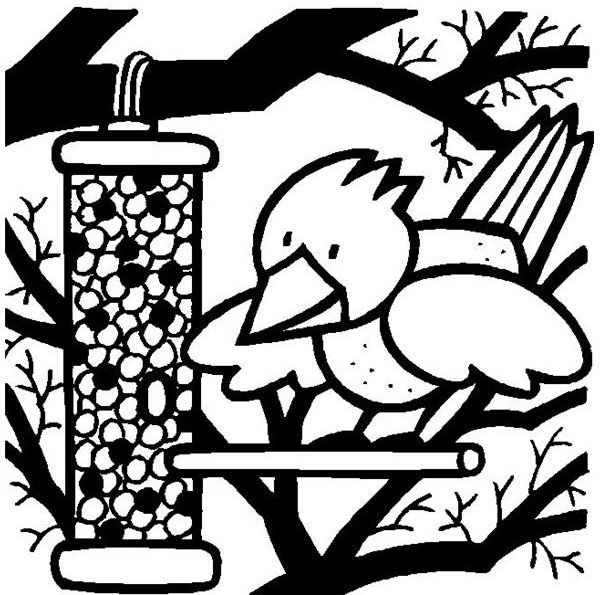 Download Fantastic Bird Coloring Sheets for Kids or Decorative Purposes