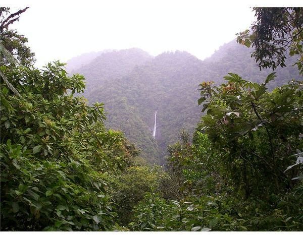 Tapanti National Park