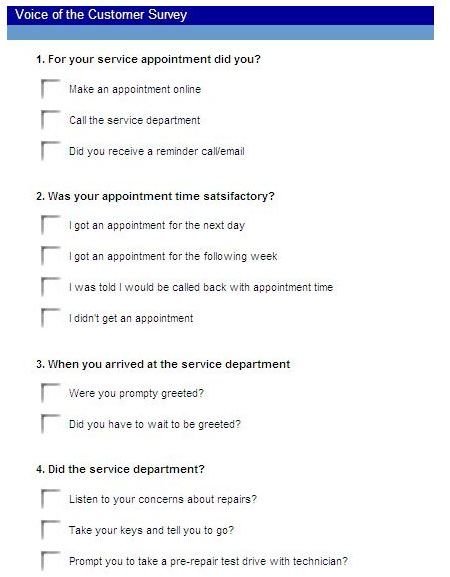Free Example of a Voice of the Customer Survey