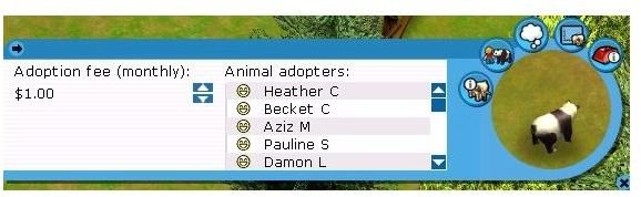 Animal Adoption