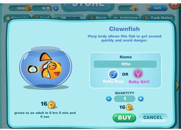 Clownfish