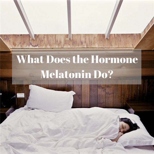 What Does the Hormone Melatonin Do?