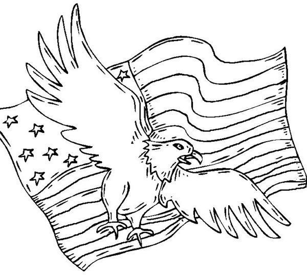 American Eagle Coloring Sheet