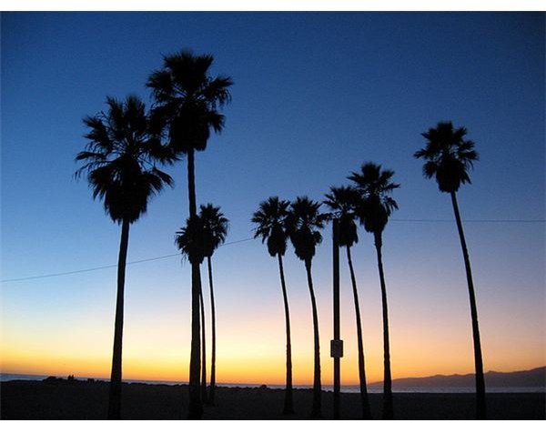 Sunset in Venice Beach