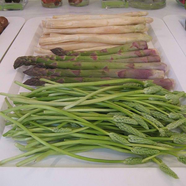 Asparagus Nutrition Facts and Health Benefits