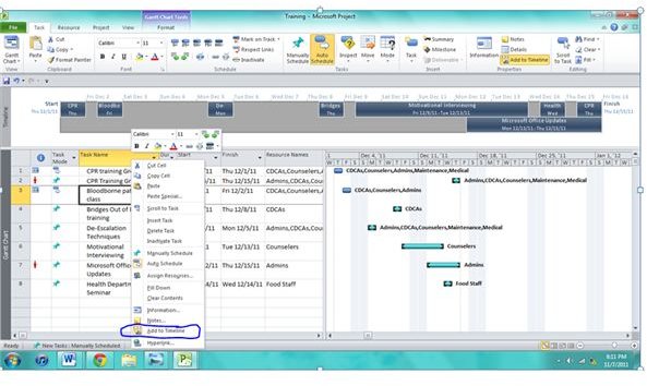 ms project save different timeline view