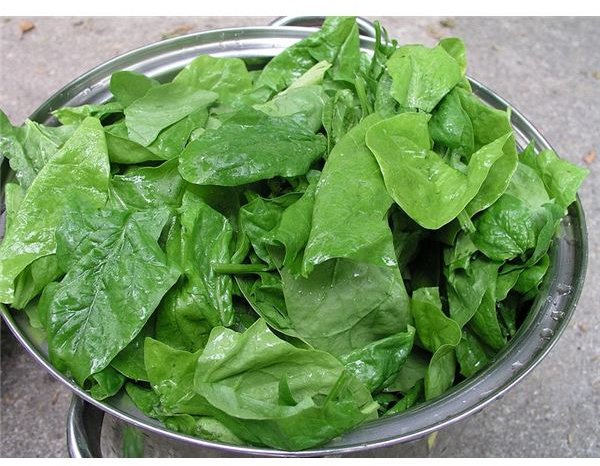 Nutrition Guide for Spinach Juice: Calorie Content and Nutrient Listing