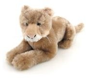 Adopt a panther- get a stuffed toy for a young conservationist!