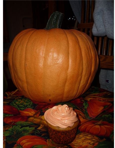 Make Easy Pumpkin Cupcakes: Recipe for the Preschool Classroom