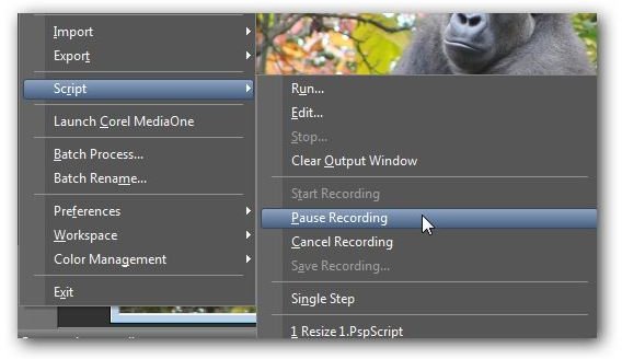 Pause Script Recording