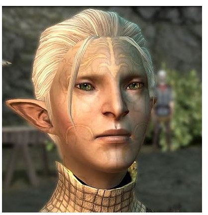 Dragon Age 2 - Elf Keeper