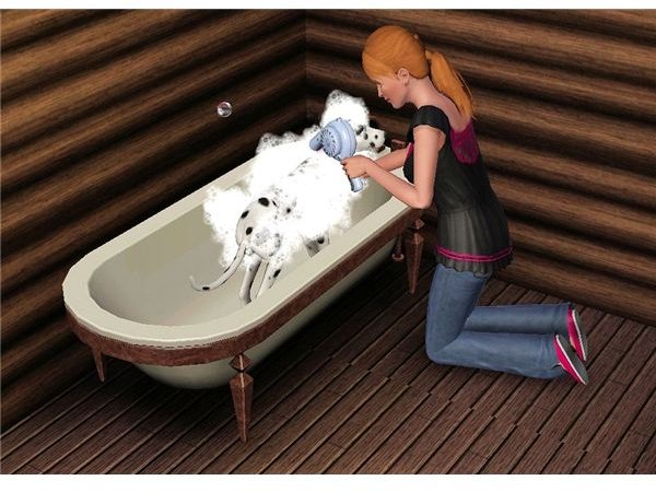 The Sims 3 washing dog