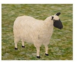 A male sheep from ATITD