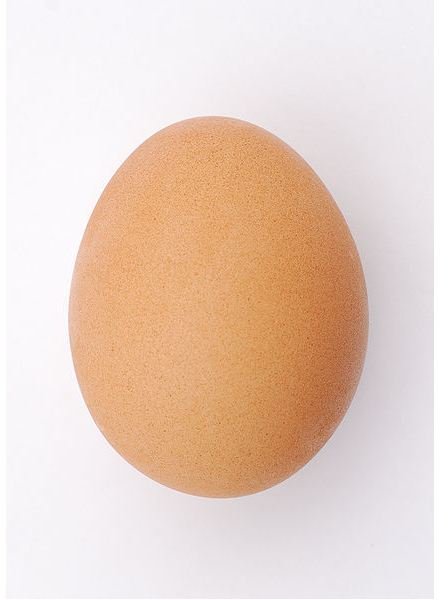 The Difference Between White and Brown Eggs - Do They Vary in Taste or Nutrition?