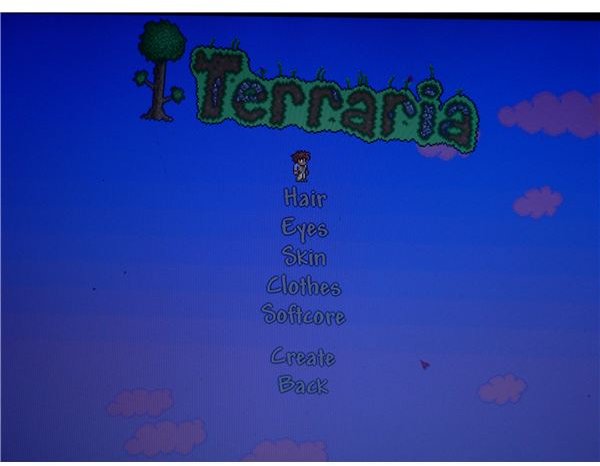 Terraria Review (PC)