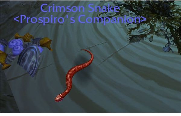 Crimson Snake Pet