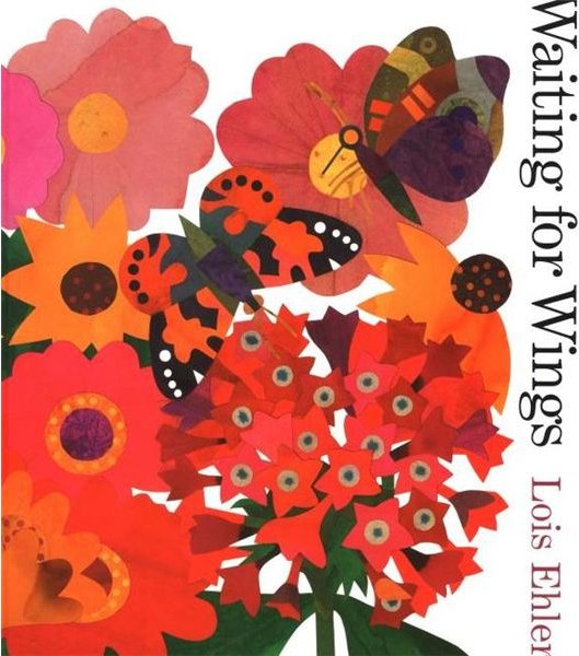 Teach the Life Cycle of A Butterfly Using Waiting for Wings by Lois Ehlert in this Preschool Lesson Plan