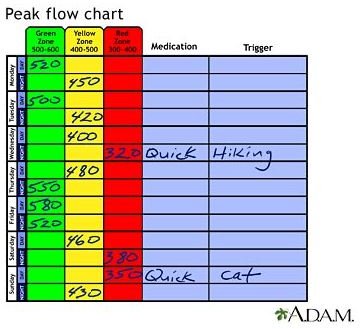 Asthma Peak Flow Chart