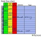 Use of Peak Flow Meter Charts in Asthma Management