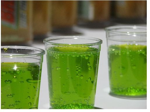 The Importance of Electrolytes in the Human Body for Athletes and How To Replace Them