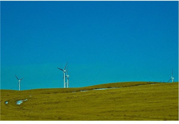 Windmills in Iowa - photo by Mayflor Markusic