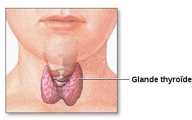 Hypothyroidism: Symptoms Checklist