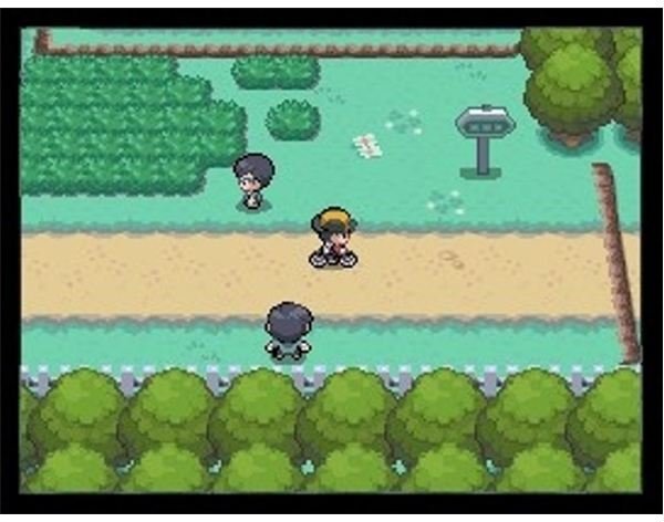 Exploring the Johto Region