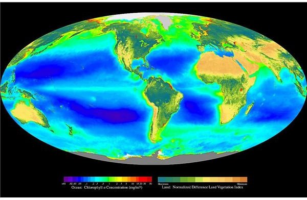 what-is-the-biosphere-understanding-how-biomes-are-part-of-the