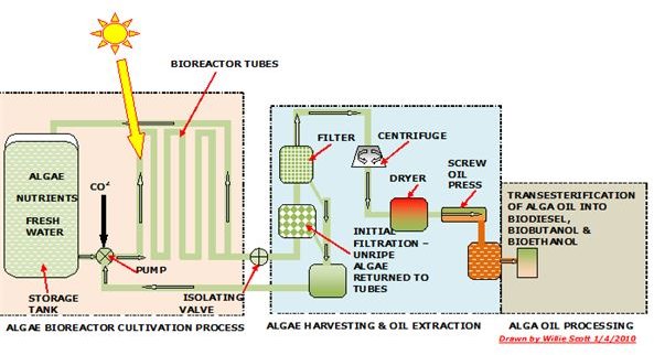 Algae Biofuels vs Fossil Fuels