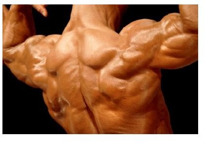 How To Get More Muscle Definition Faster