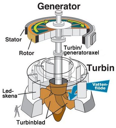 define electrical engineering