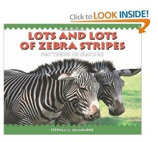 Preschool Zebra Craft adn Book Plus Activities With Zeb the Zebra