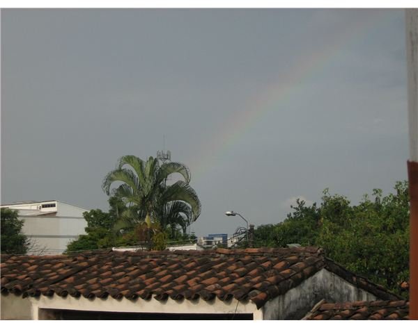 Learn How to Take Great Photos of Rainbows with These Photography Tips & Techniques