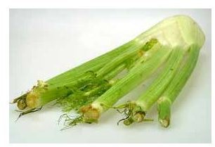 How to Prepare Fennel: An Often Overlooked Vegetable