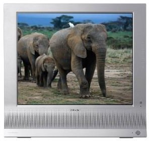 Sony MFM-HT95 19-inch LCD Monitor with TV Tuner