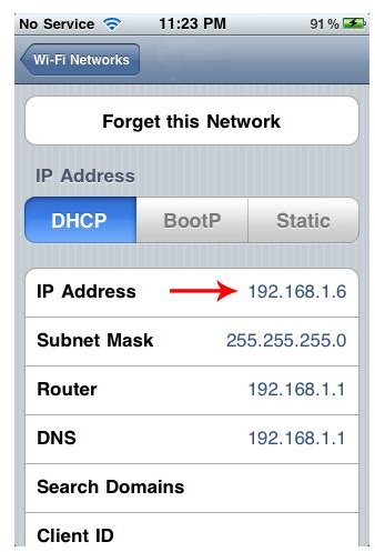 ip address on iphone