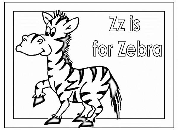 Zebra