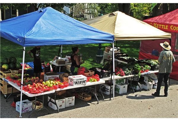 Tips on Getting Internships for College Credit: Working at Farmer's Markets