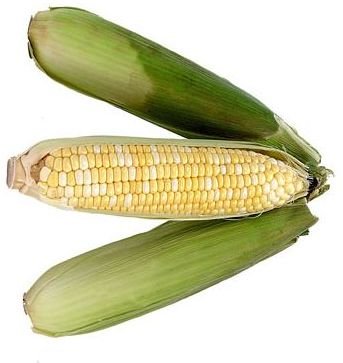 Natural Health Benefits of Corn: How Corn and Corn Oil Health Benefits Can Improve Your Heart and Lungs