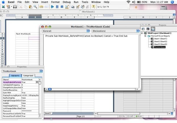 The Visual Basic Editor 